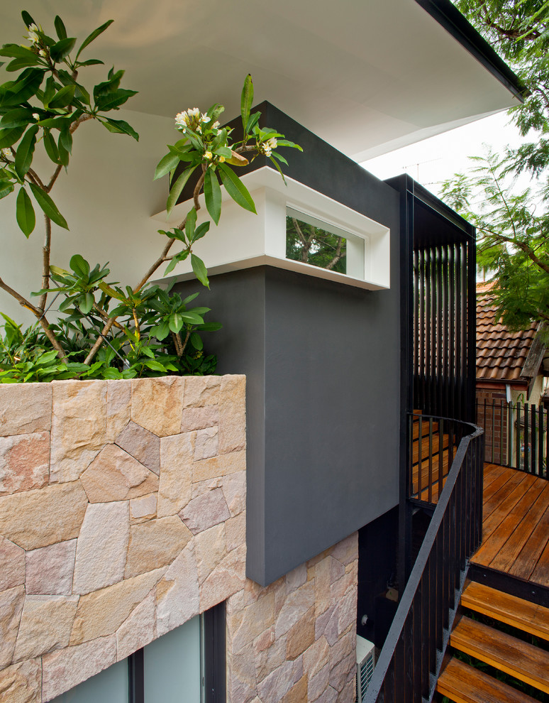 Contemporary foyer in Sydney with grey walls, light hardwood flooring and a pivot front door.