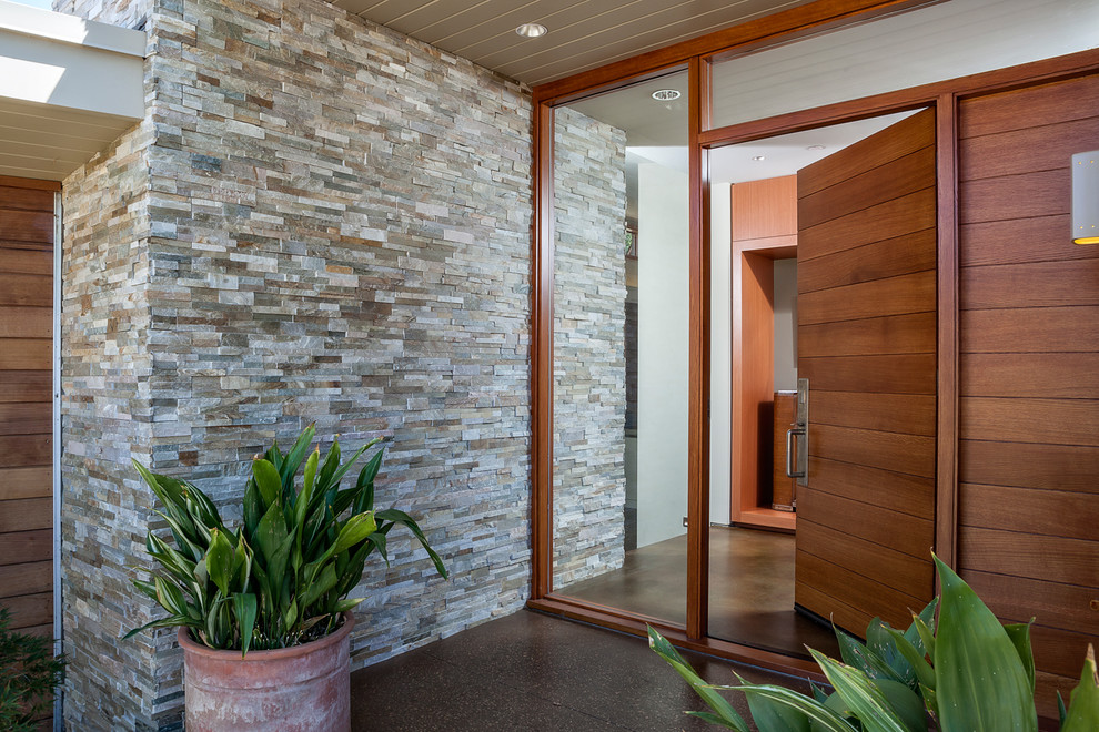 Свежая идея для дизайна: большая входная дверь в стиле модернизм с разноцветными стенами, бетонным полом, одностворчатой входной дверью, входной дверью из дерева среднего тона и коричневым полом - отличное фото интерьера