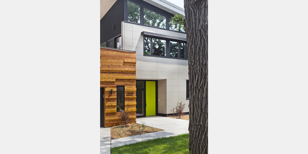 Idée de décoration pour une porte d'entrée design de taille moyenne avec un mur gris, sol en béton ciré, une porte simple et une porte verte.