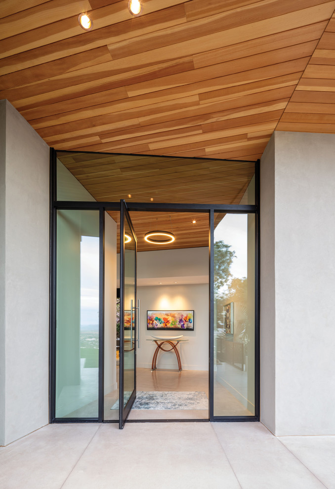 Ispirazione per una porta d'ingresso design con pareti bianche, una porta a pivot e una porta in vetro