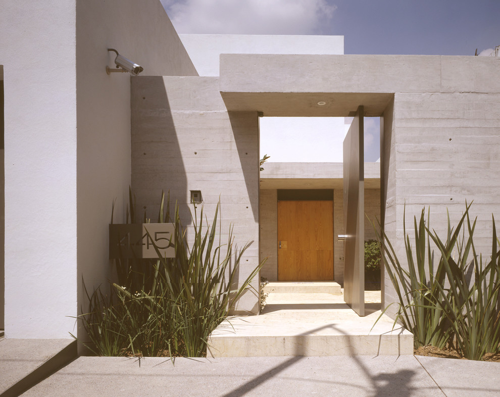 Mid-sized trendy marble floor entryway photo in Mexico City with gray walls and a medium wood front door