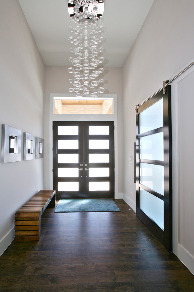 Inspiration for a medium sized contemporary foyer in Dallas with beige walls, medium hardwood flooring, a double front door and a black front door.