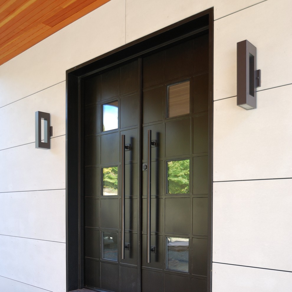 Свежая идея для дизайна: фойе среднего размера в стиле модернизм с белыми стенами, темным паркетным полом, двустворчатой входной дверью и металлической входной дверью - отличное фото интерьера
