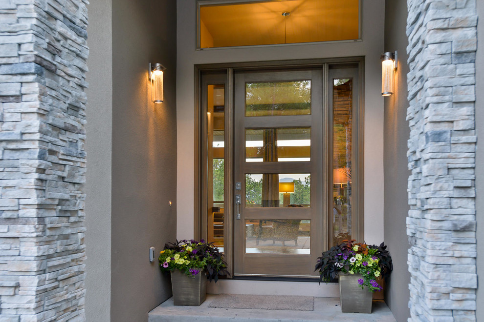 Foto de puerta principal contemporánea de tamaño medio con paredes grises, suelo de cemento, puerta simple y puerta de vidrio