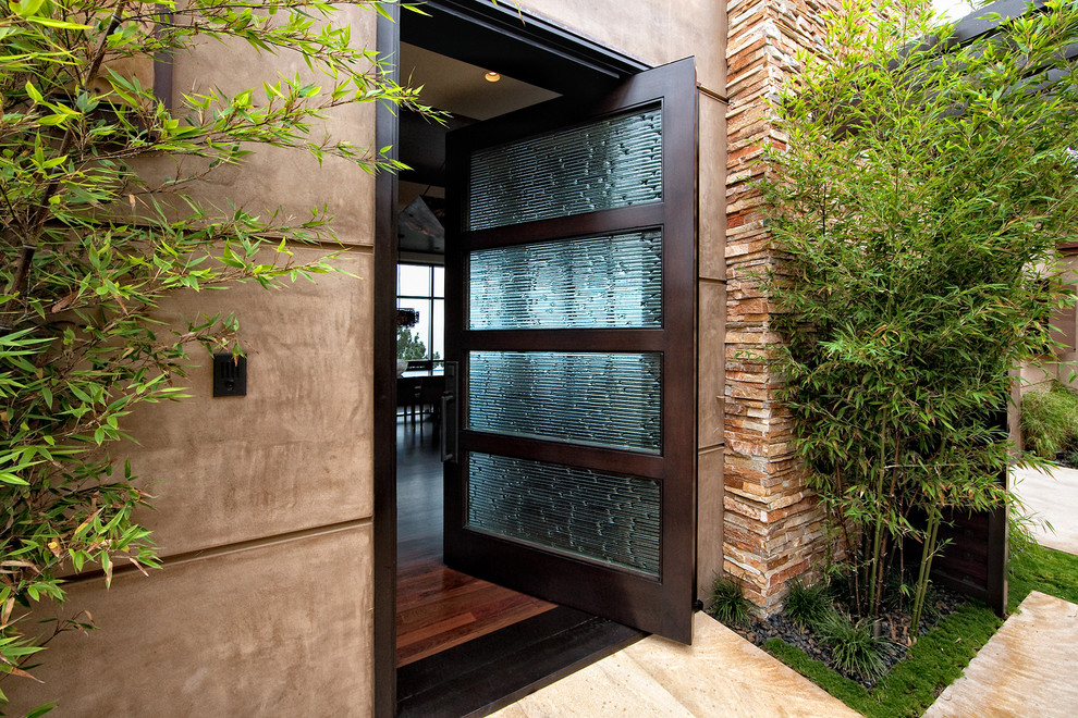 Cette image montre une porte d'entrée design avec une porte pivot et une porte en verre.