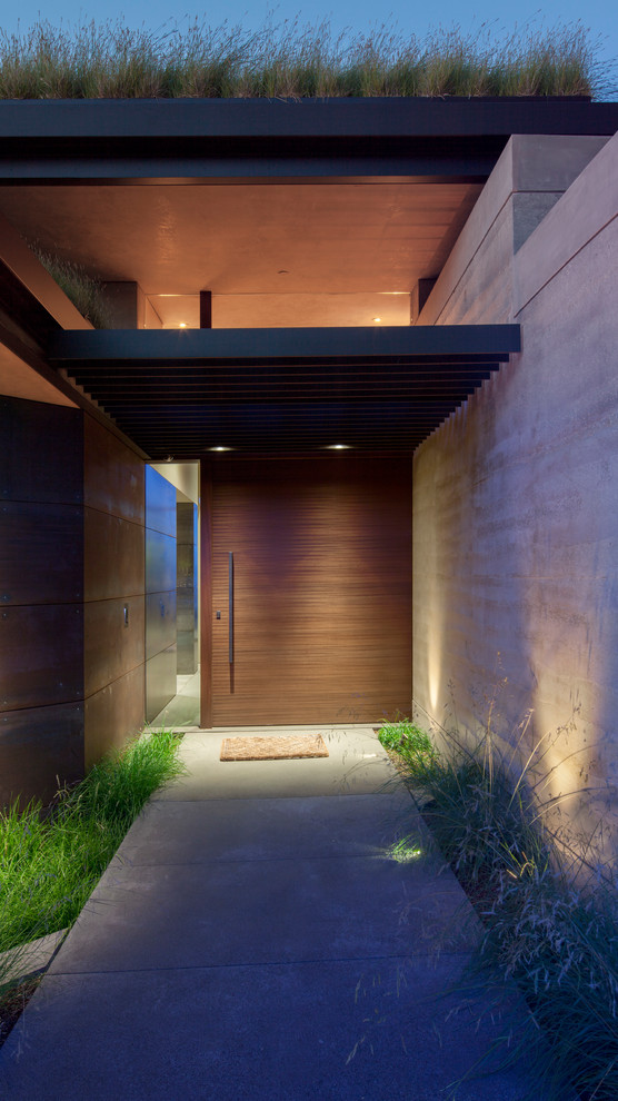 Immagine di un'ampia porta d'ingresso minimalista con pareti con effetto metallico, pavimento in cemento, una porta a pivot e una porta in legno scuro