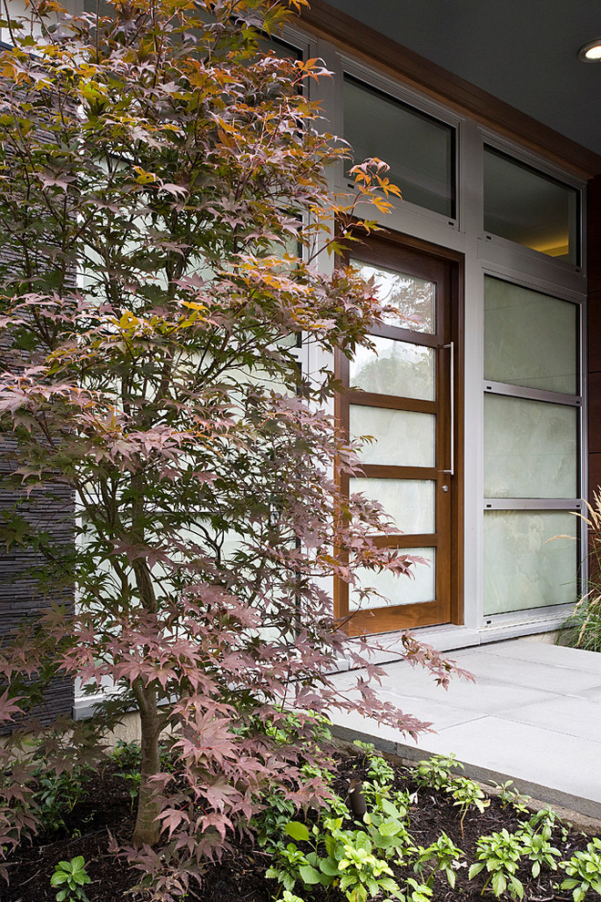 Contemporary front door in Chicago with a single front door and a glass front door.