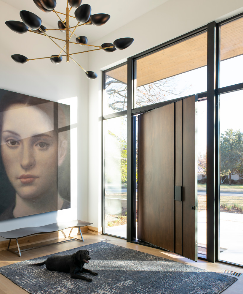 Large contemporary foyer in Dallas with white walls, medium hardwood flooring, a pivot front door, a dark wood front door and brown floors.