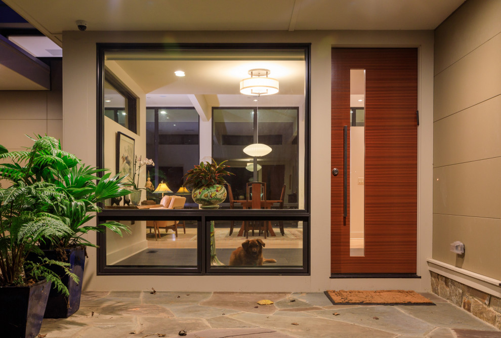 Ispirazione per una porta d'ingresso design di medie dimensioni con pareti beige, pavimento in ardesia, una porta a pivot, una porta in legno scuro e pavimento grigio