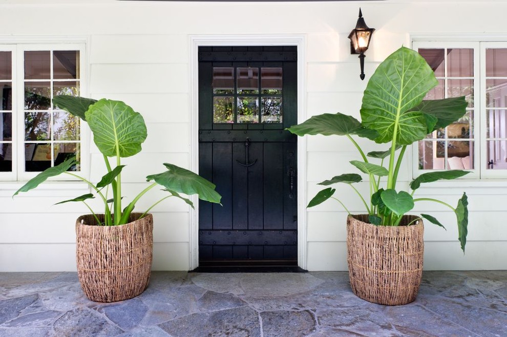 Inspiration for a tropical entryway remodel in Los Angeles with a black front door