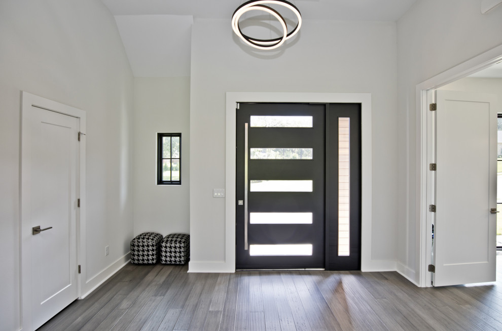 Cette image montre un hall d'entrée design de taille moyenne avec un mur blanc, une porte pivot, une porte noire, un sol gris et un sol en vinyl.