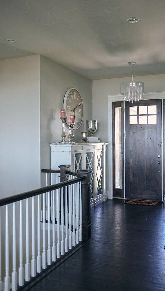 Design ideas for a medium sized classic hallway in Salt Lake City with grey walls, dark hardwood flooring, a pivot front door and a brown front door.