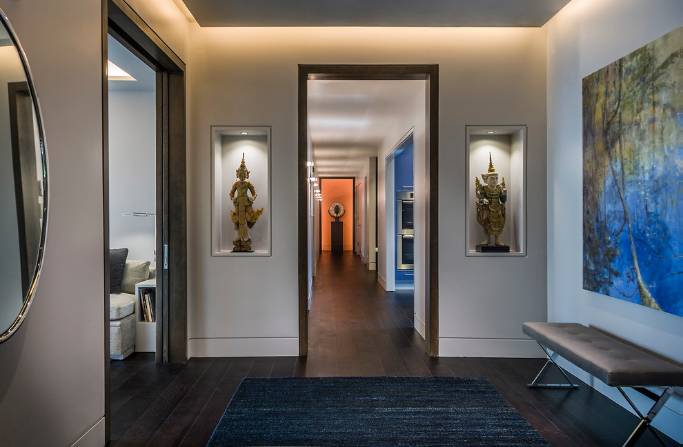 Contemporary entrance in Chicago with grey walls and dark hardwood flooring.
