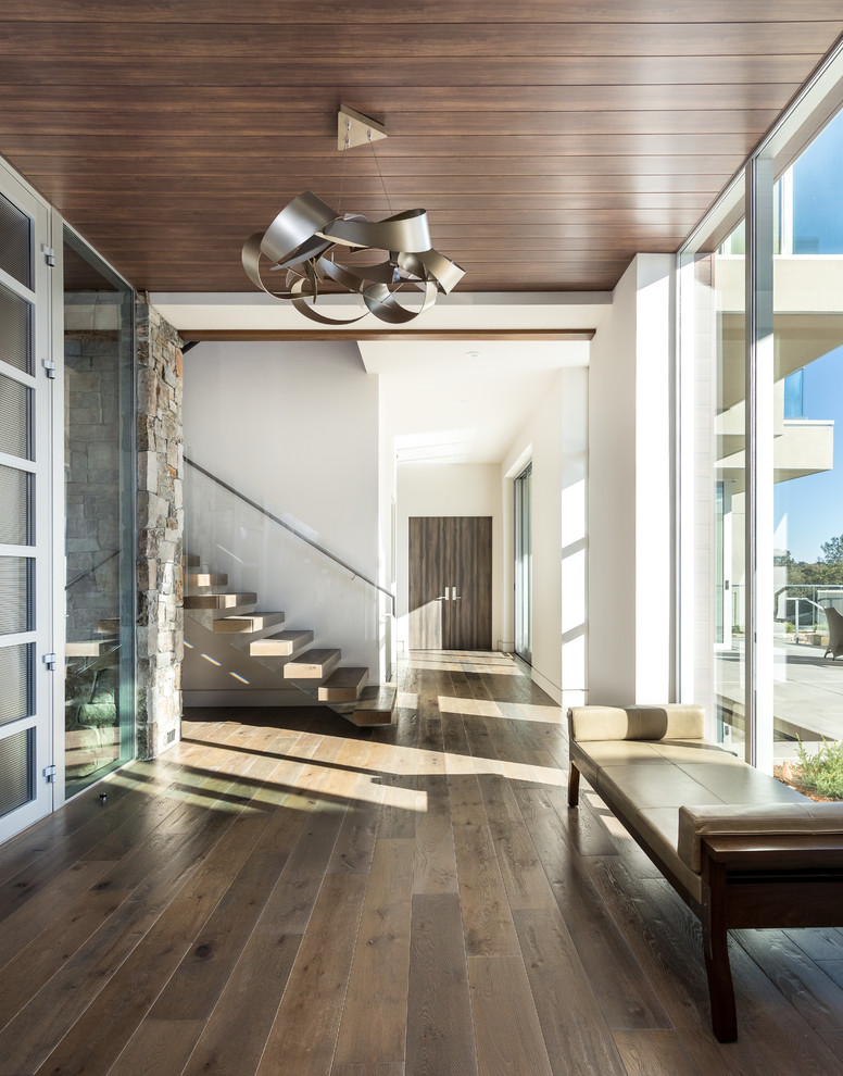 This is an example of a large modern front door in Sacramento with a pivot front door, a glass front door, white walls, medium hardwood flooring and brown floors.