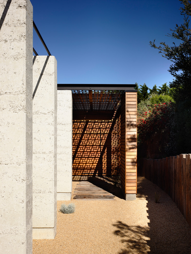 Esempio di una porta d'ingresso design di medie dimensioni con pareti nere, pavimento in cemento, una porta a pivot e una porta in legno bruno