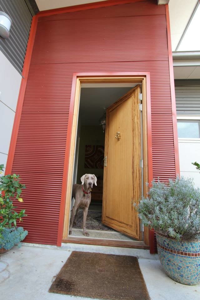 Стильный дизайн: входная дверь в современном стиле с красными стенами, бетонным полом, поворотной входной дверью и входной дверью из светлого дерева - последний тренд