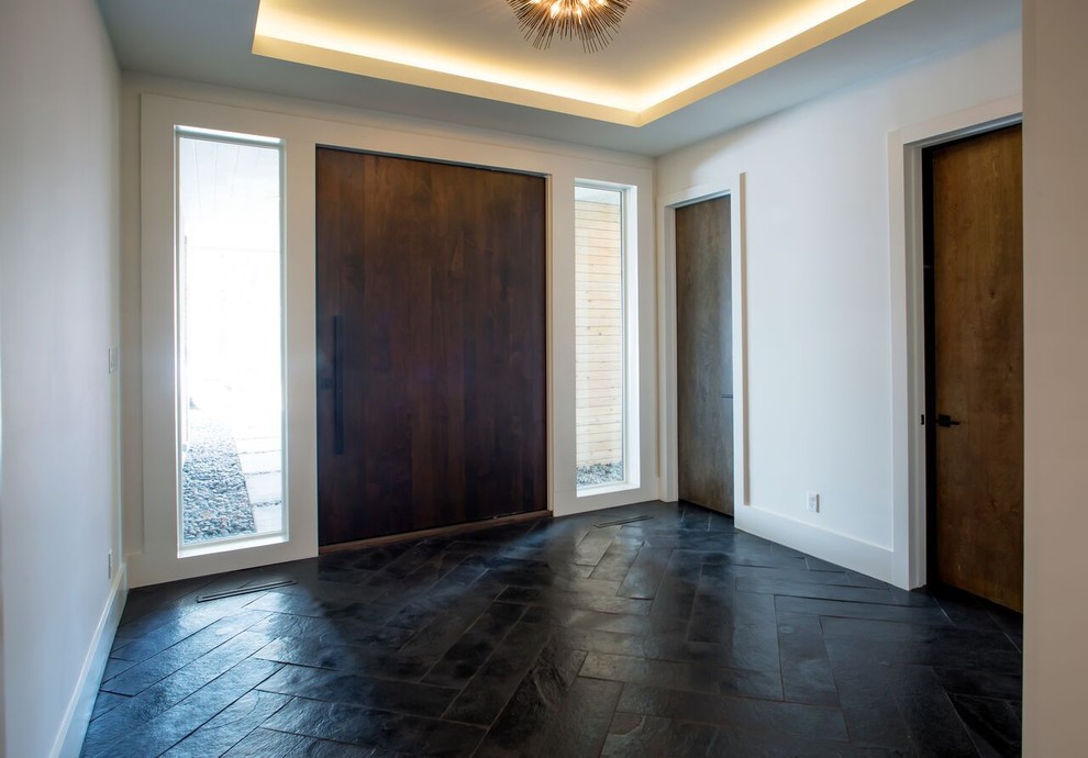 На фото: фойе среднего размера в стиле модернизм с белыми стенами, полом из сланца, поворотной входной дверью, входной дверью из темного дерева и черным полом с