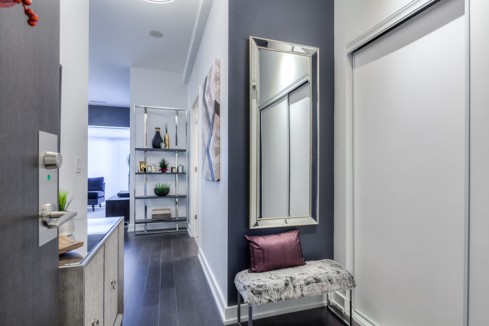 Kleines Modernes Foyer mit blauer Wandfarbe, dunklem Holzboden, Einzeltür und brauner Haustür in Toronto