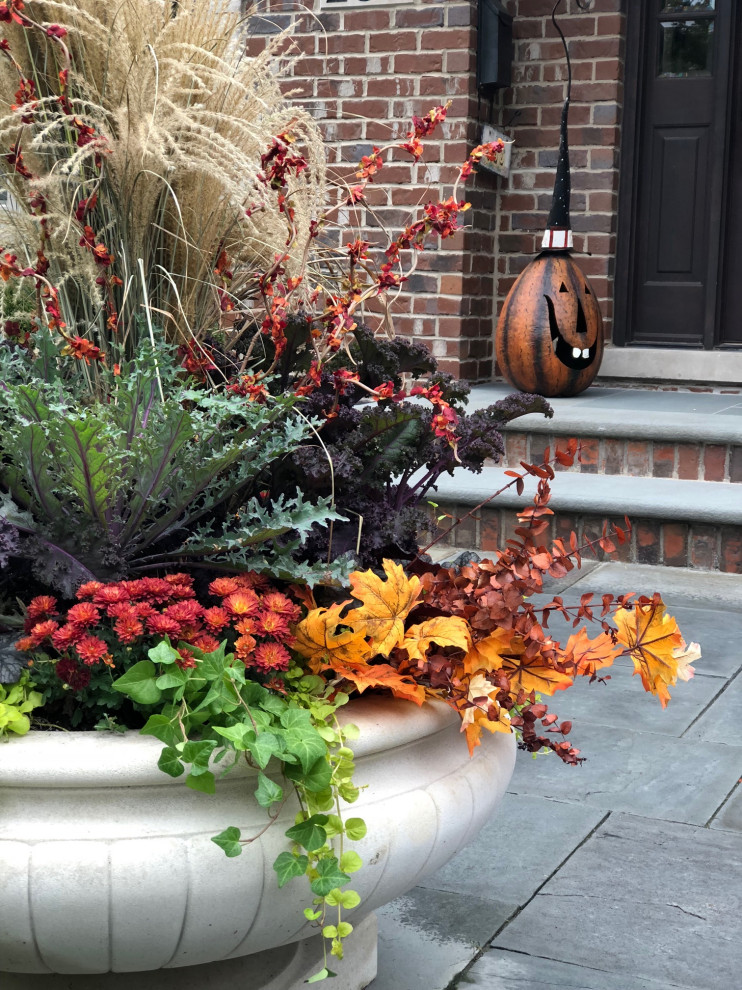 Esempio di un piccolo giardino classico esposto a mezz'ombra davanti casa in autunno con un giardino in vaso e pavimentazioni in pietra naturale