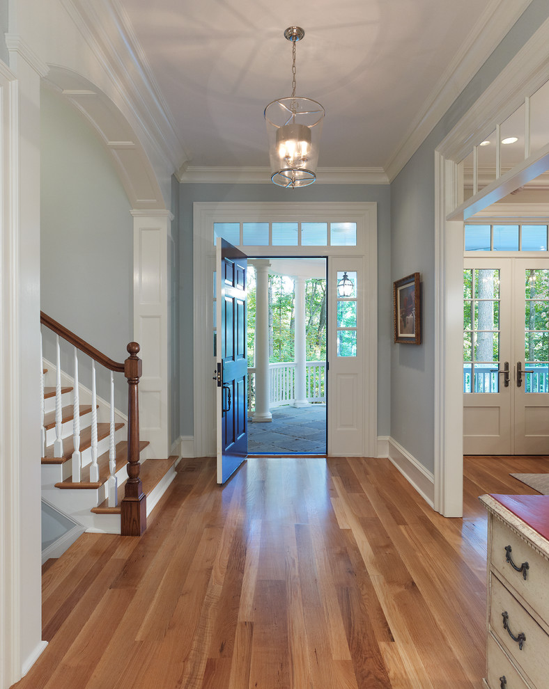 Design ideas for a medium sized traditional front door in DC Metro with blue walls, medium hardwood flooring and a single front door.
