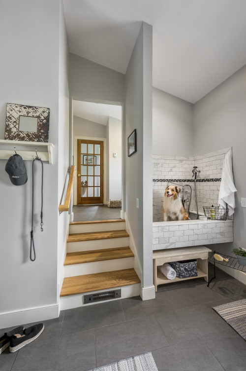 6 Dog Room Decor Ideas That'll Make A Friendly Home For Pets!