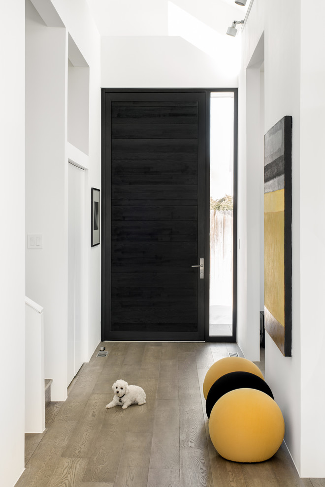 Exemple d'une entrée tendance avec un mur blanc, parquet foncé, une porte simple, une porte noire et un sol gris.