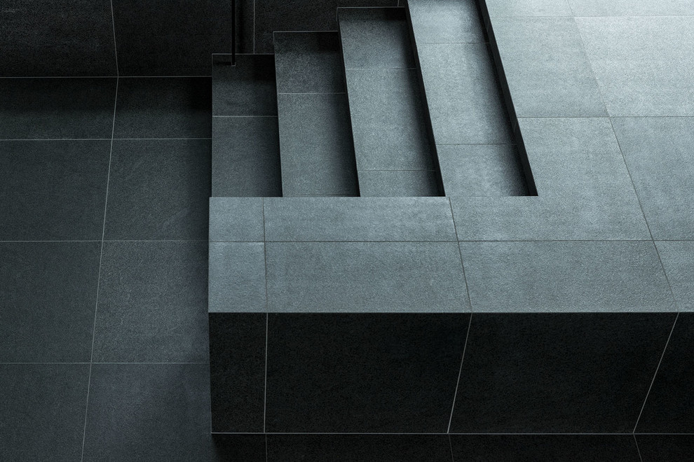 Пример оригинального дизайна: прихожая в стиле модернизм с черными стенами, полом из керамической плитки и черным полом