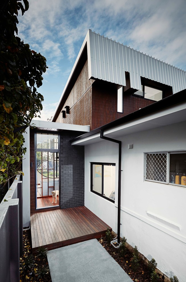 Modern inredning av en mellanstor ingång och ytterdörr, med svarta väggar, mörkt trägolv, en enkeldörr, en lila dörr och brunt golv