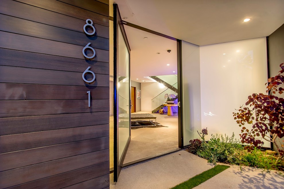 ロサンゼルスにあるラグジュアリーな広いコンテンポラリースタイルのおしゃれな玄関ドア (白い壁、コンクリートの床、ガラスドア、グレーの床) の写真
