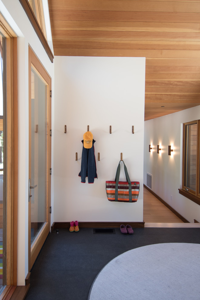 Mid-sized minimalist granite floor and black floor single front door photo in Sacramento with white walls and a dark wood front door