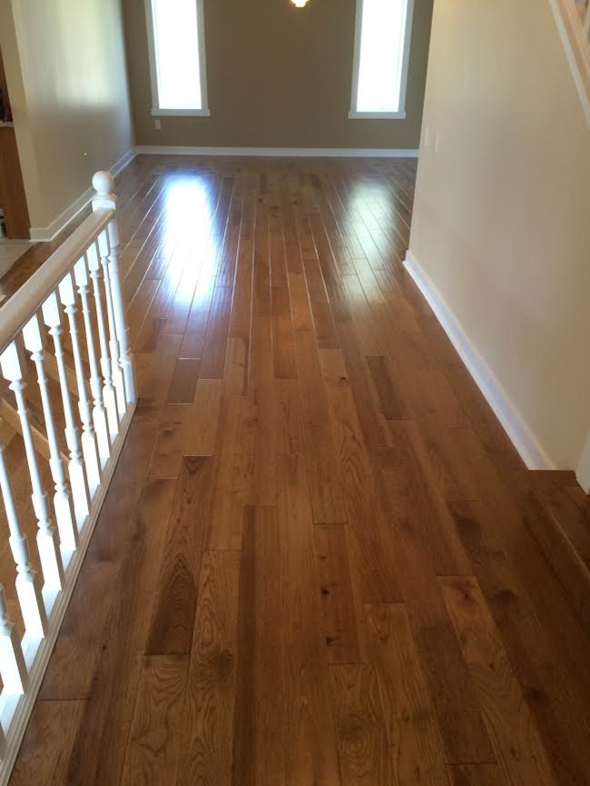 Design ideas for a large traditional entrance in Other with medium hardwood flooring.