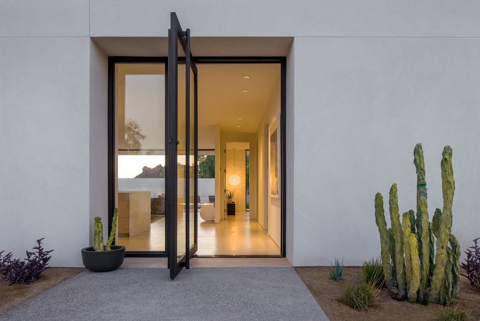 Réalisation d'une porte d'entrée minimaliste de taille moyenne avec un mur blanc, sol en béton ciré, une porte pivot et une porte en verre.