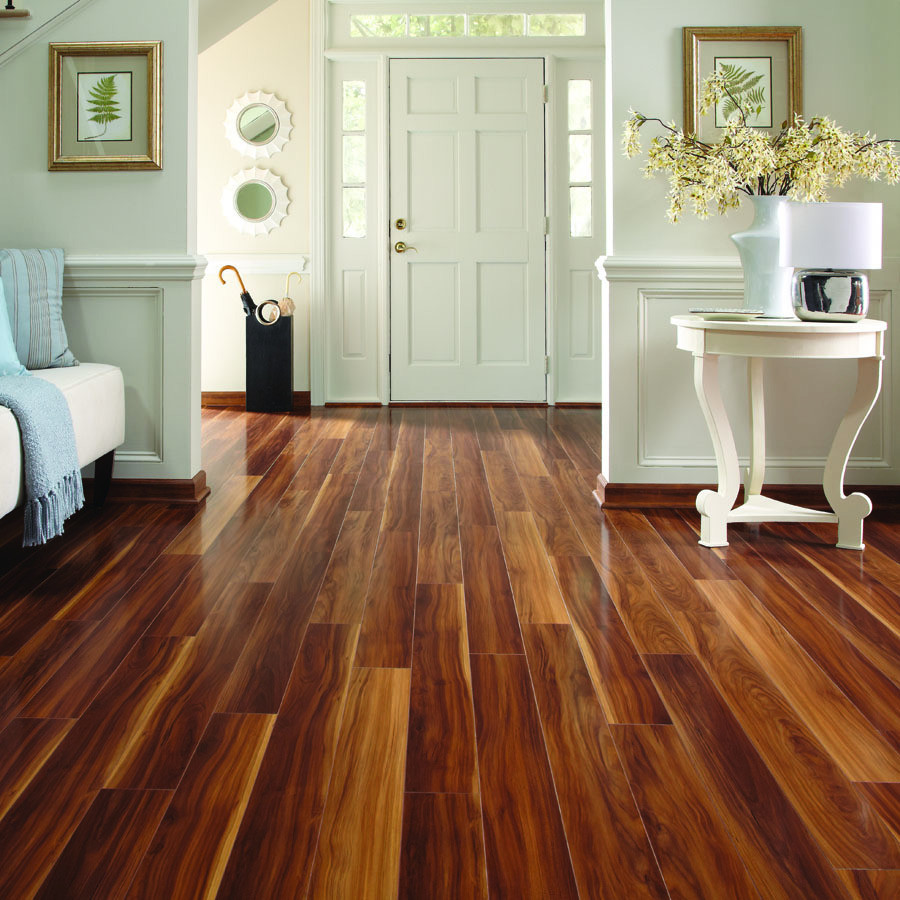 Large trendy dark wood floor entryway photo in Denver with white walls and a white front door