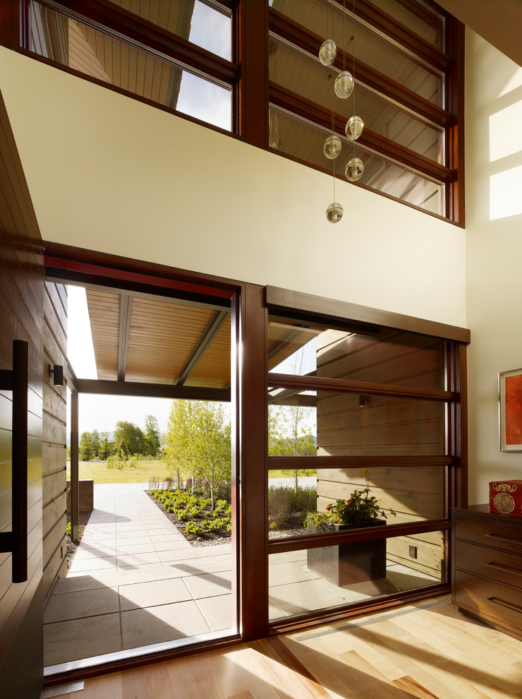 This is an example of a modern entrance in Other with beige walls and a dark wood front door.