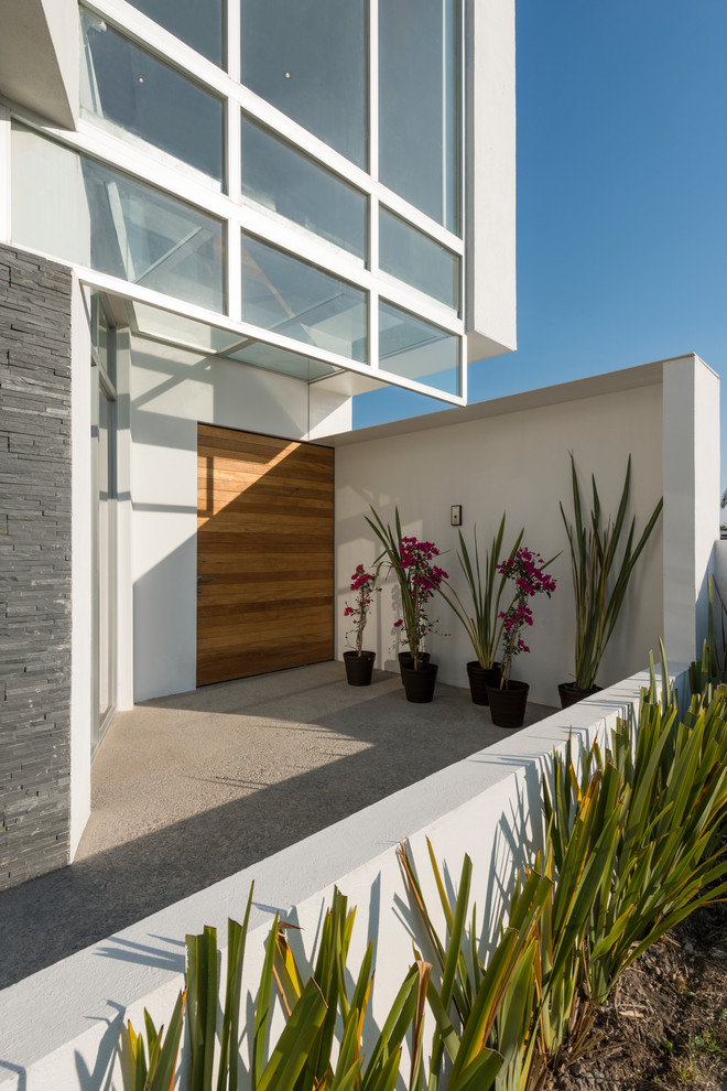 Idee per una porta d'ingresso design di medie dimensioni con pareti bianche, pavimento in cemento, una porta a pivot e una porta in legno bruno