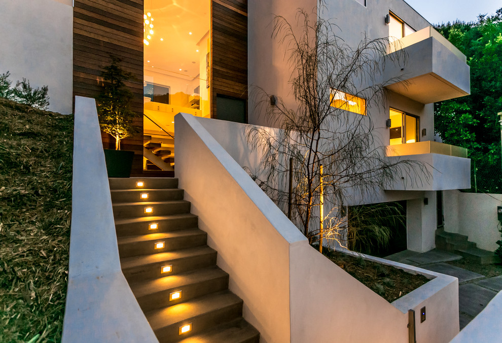 Mittelgroße Moderne Haustür mit Betonboden, Drehtür, schwarzer Haustür und weißer Wandfarbe in Los Angeles