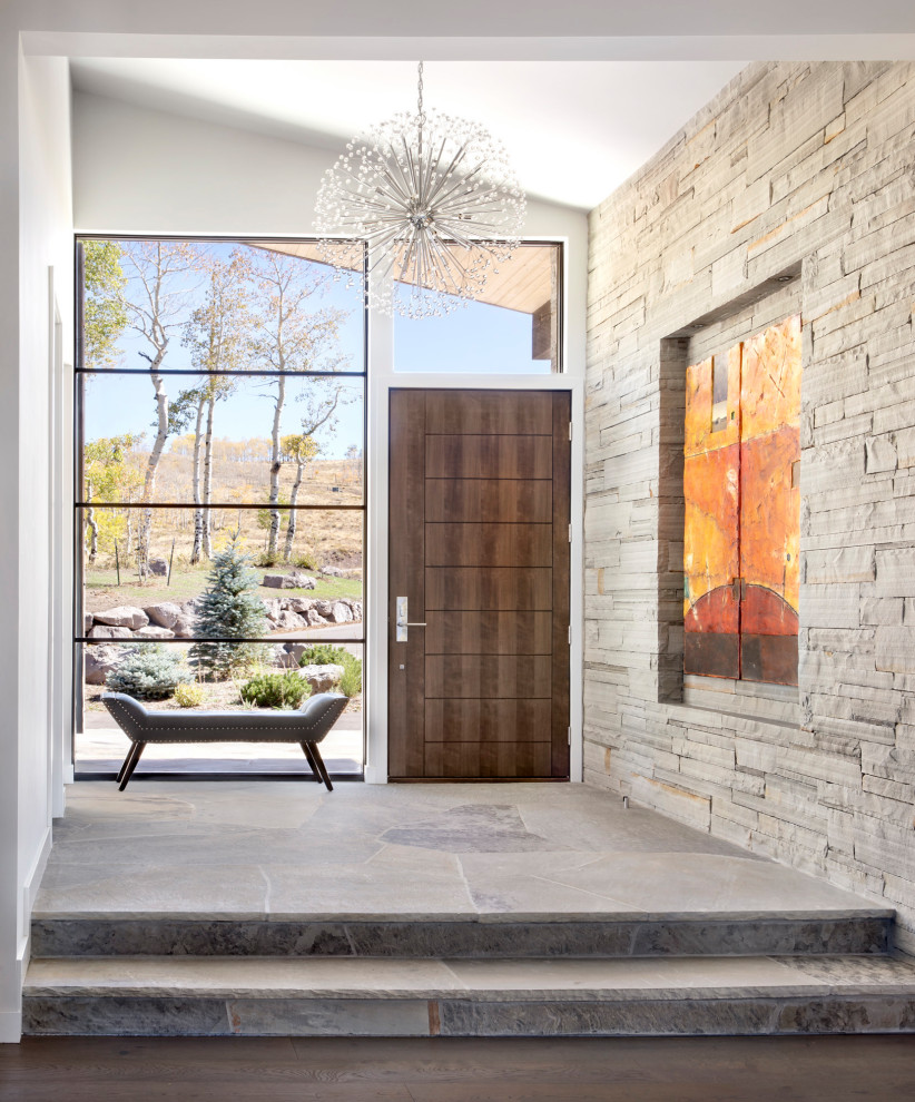 Aménagement d'une entrée contemporaine avec un mur blanc, une porte simple, une porte en bois foncé et un sol gris.