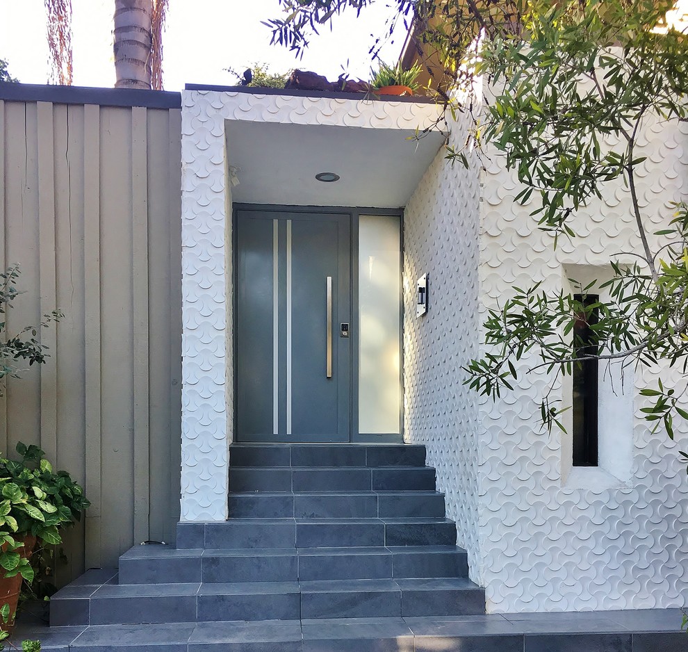 Aménagement d'une entrée contemporaine de taille moyenne avec une porte simple et une porte grise.