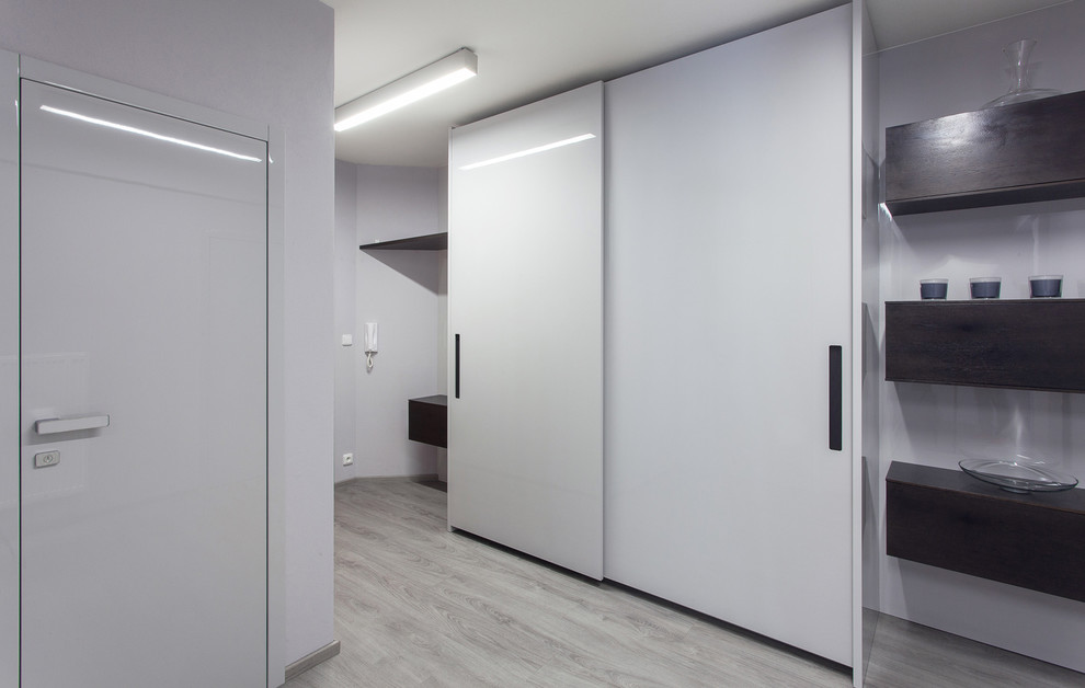 Mittelgroße Moderne Haustür mit grauer Wandfarbe, hellem Holzboden, Einzeltür und grauer Haustür in Sonstige