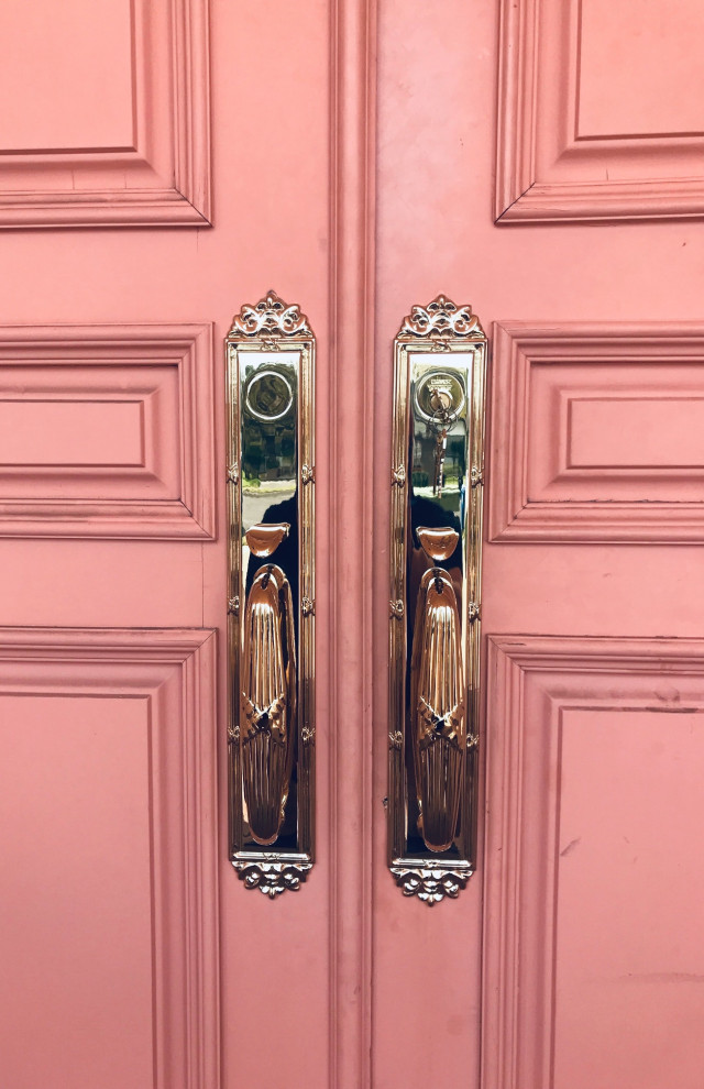 Свежая идея для дизайна: входная дверь в классическом стиле с двустворчатой входной дверью - отличное фото интерьера