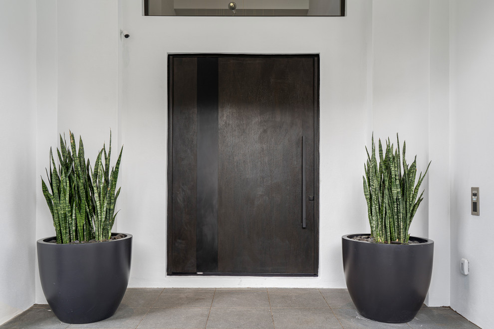 Immagine di una grande porta d'ingresso design con pareti bianche, una porta a pivot, una porta in legno scuro e pavimento grigio