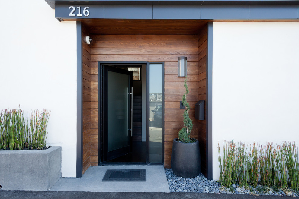 This is an example of a modern entrance in Los Angeles.