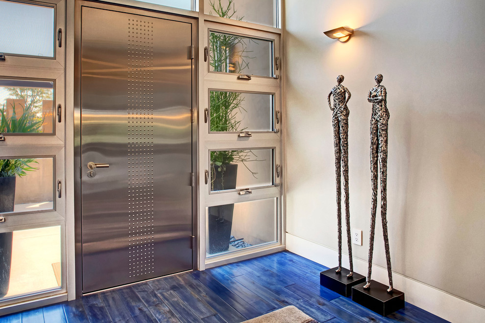 Пример оригинального дизайна: входная дверь в современном стиле с одностворчатой входной дверью и синим полом
