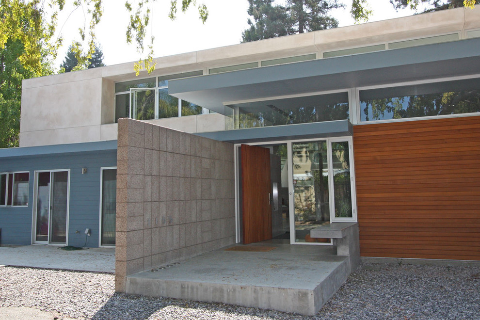 Immagine di una grande porta d'ingresso minimalista con pareti grigie, pavimento in cemento, una porta a pivot e una porta in legno bruno