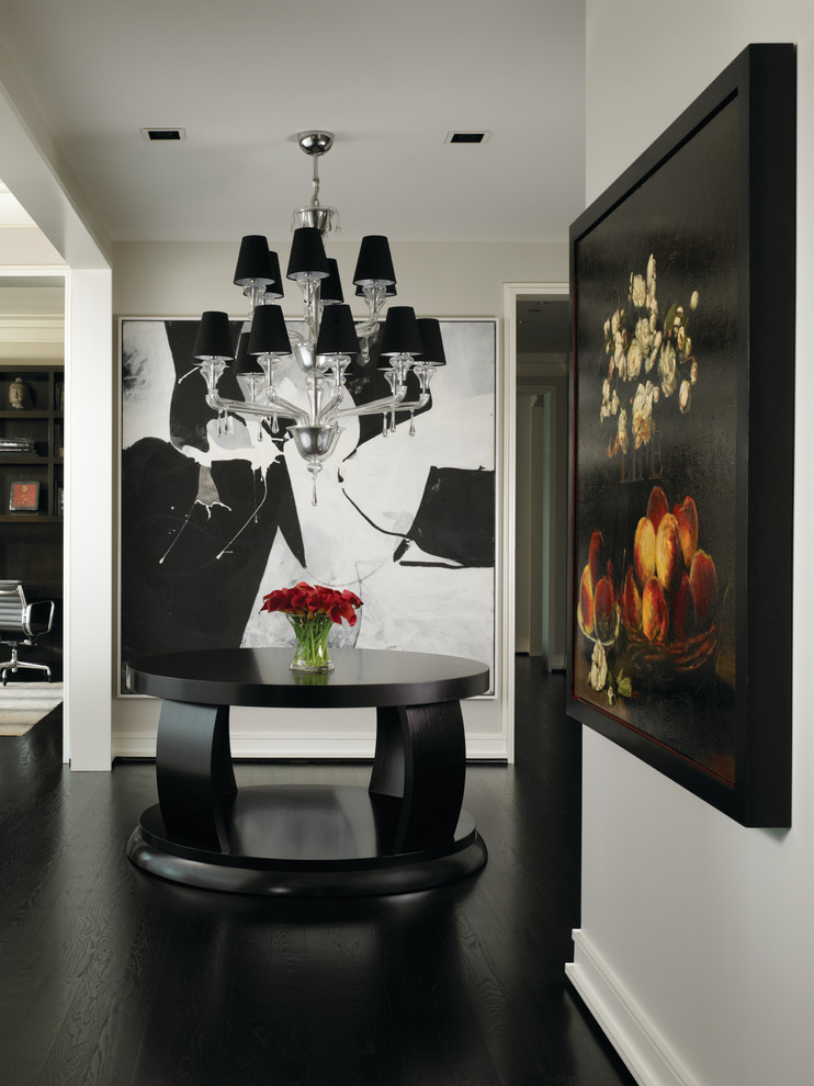 Design ideas for a contemporary entrance in Chicago with white walls, dark hardwood flooring and black floors.