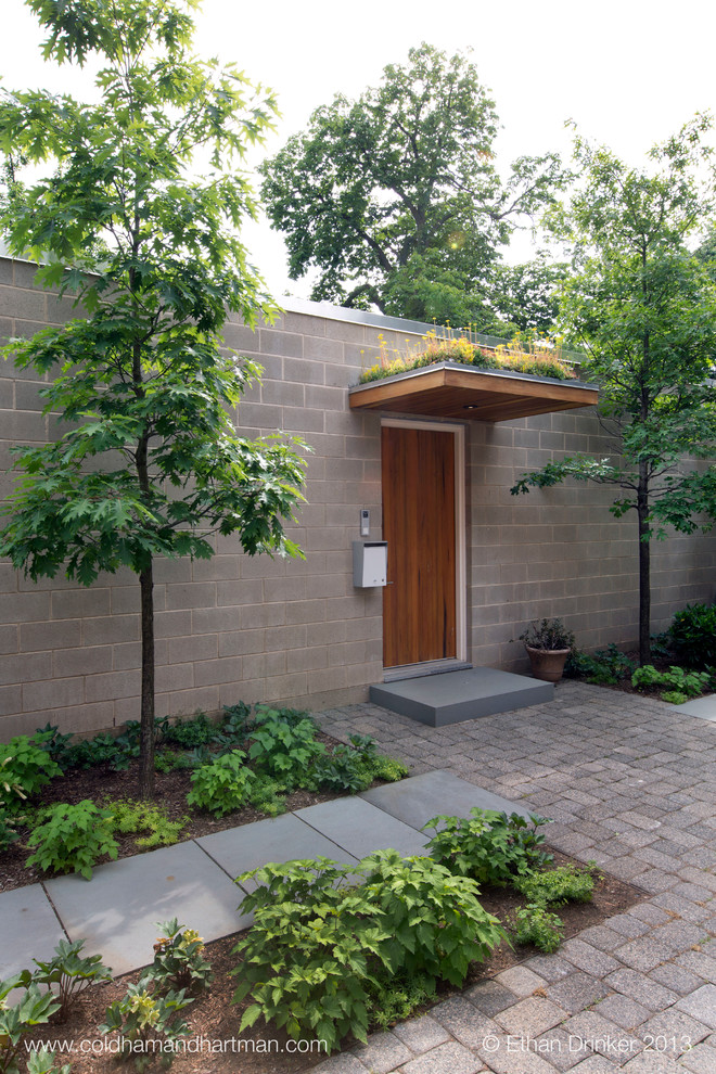 Esempio di una porta d'ingresso moderna di medie dimensioni con pareti grigie, una porta singola e una porta in legno bruno