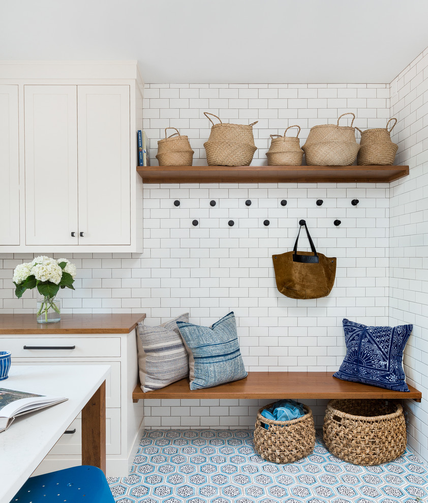 Источник вдохновения для домашнего уюта: прихожая в стиле модернизм с белыми стенами, полом из терракотовой плитки и синим полом