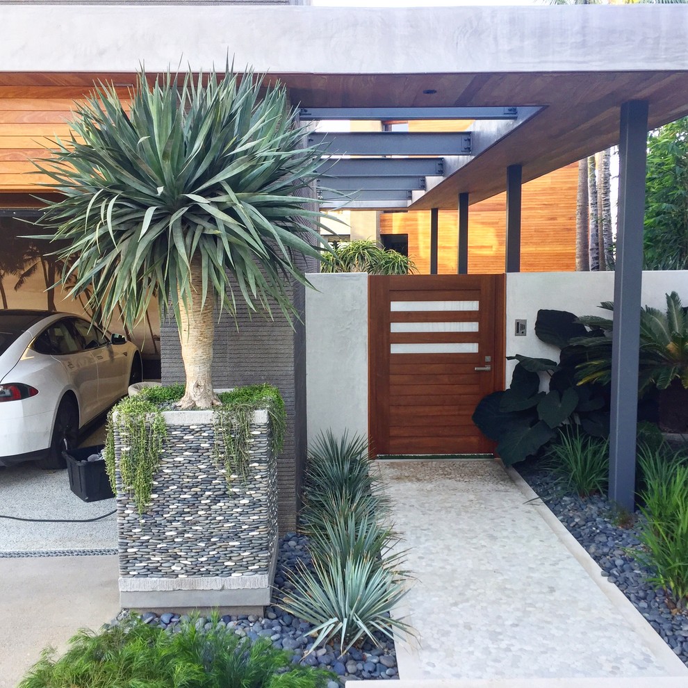 Mittelgroße Moderne Haustür mit brauner Wandfarbe, Einzeltür und hellbrauner Holzhaustür in Orange County