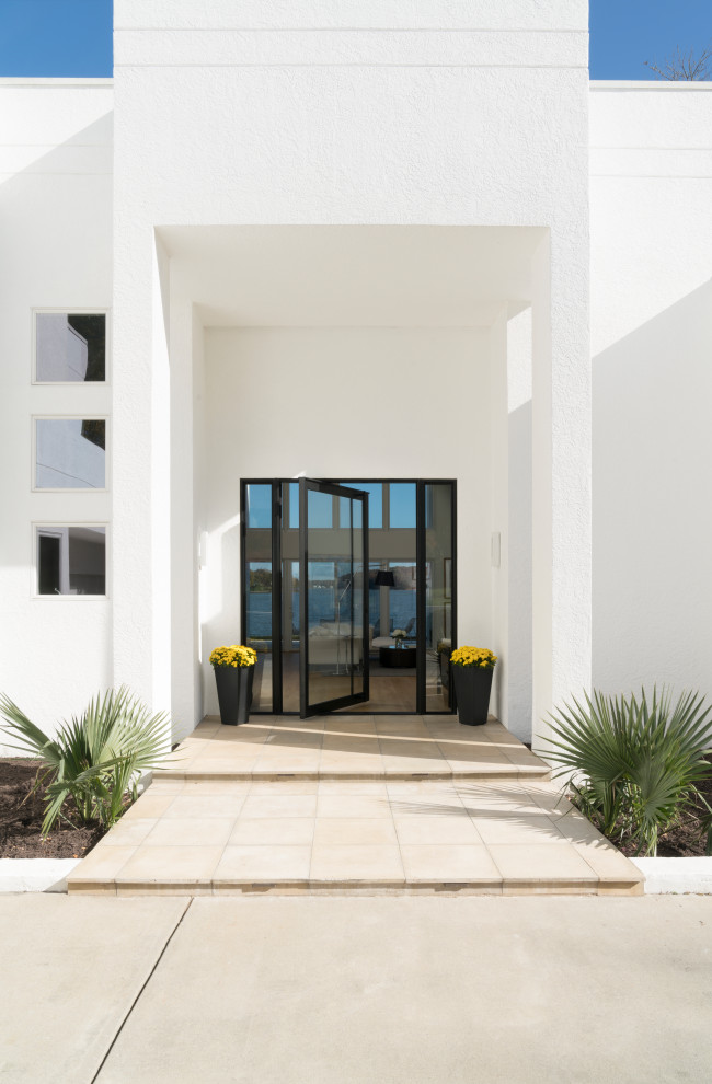 Inspiration pour une grande porte d'entrée minimaliste avec une porte pivot et une porte en verre.