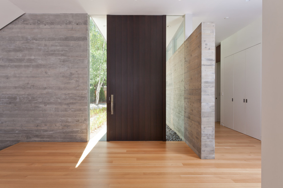 Aménagement d'un hall d'entrée moderne avec un mur blanc, parquet clair, une porte simple et une porte en bois foncé.